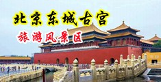 美女操大逼光棍操骚逼中国北京-东城古宫旅游风景区